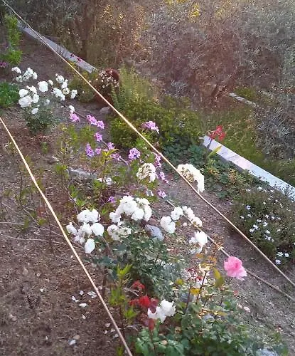 Axiothea * Vasilias (Skiathos)